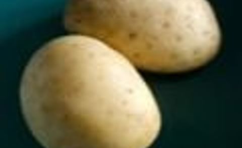 When did potatoes become unpopular? When did potatoes become unpopular?
