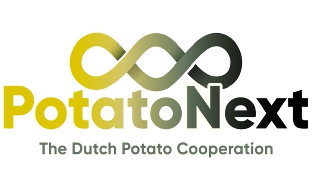 Potato Next, The Dutch Potato Cooperation Potato Next, The Dutch Potato Cooperation