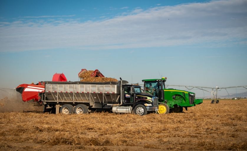  Potatoes are harvested and and sorted in Burley, Idaho.