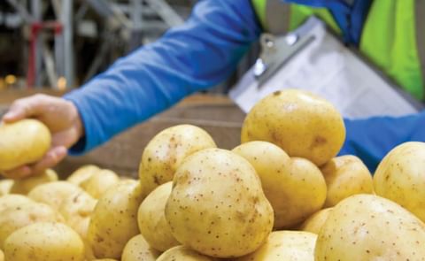 Potatoes in Retail Potatoes in Retail