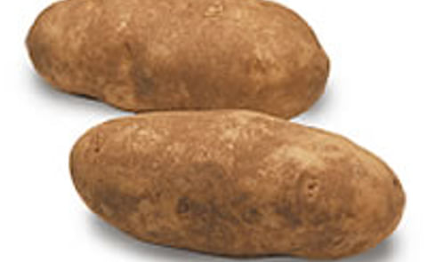 Large US Russet supply represents a challenge for growers Large US Russet supply represents a challenge for growers