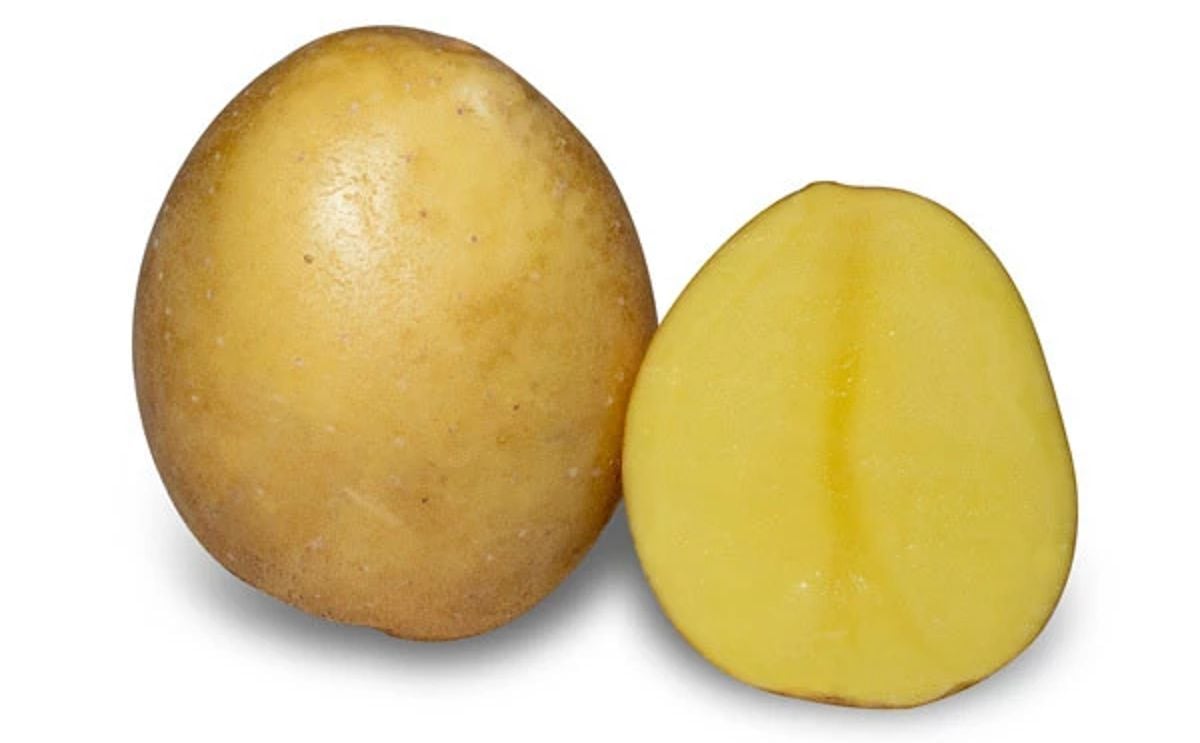 SEVIM SEVIM