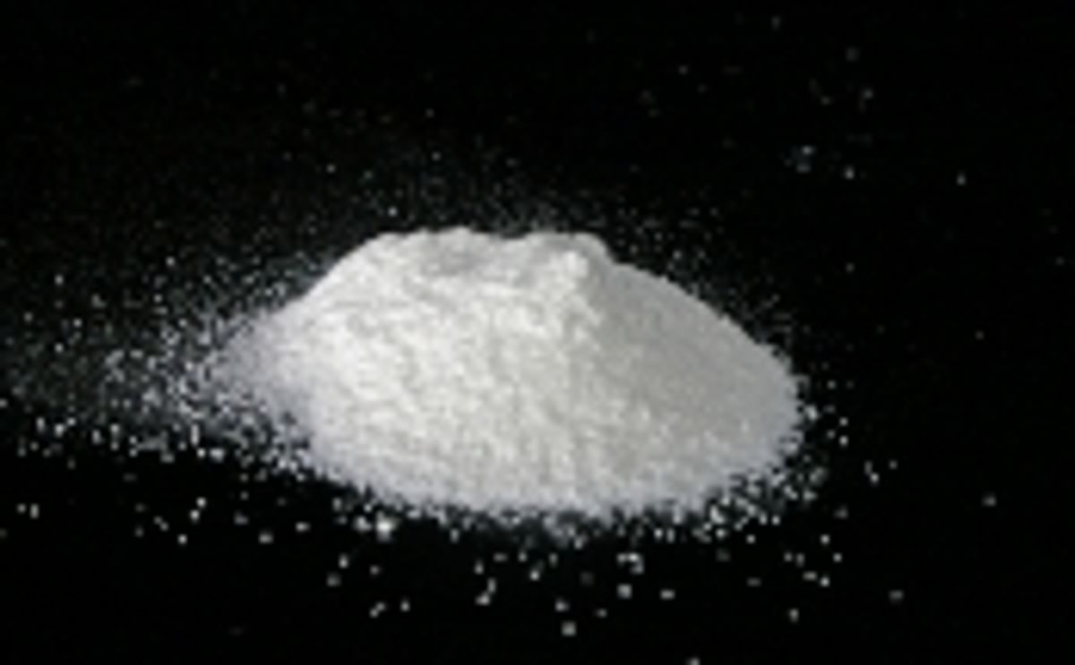 EU-Commissie in de puree door ggo-aardappel EU-Commissie in de puree door ggo-aardappel