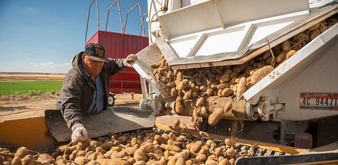 Japan won’t accept fresh Idaho potatoes, so U.S. lawmakers are pushing for change