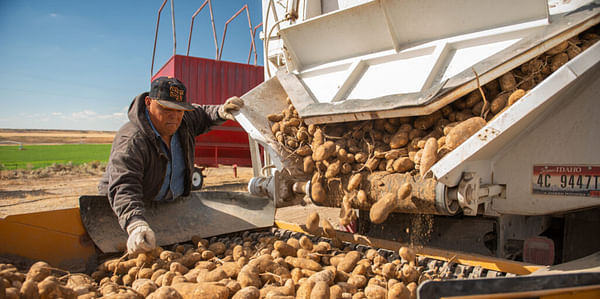 Japan won’t accept fresh Idaho potatoes, so U.S. lawmakers are pushing for change