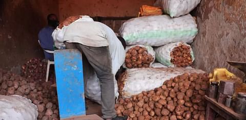 Middlemen plunge Rwanda potato farmers into losses