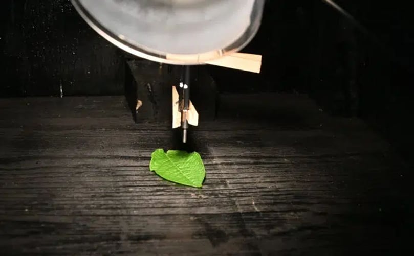 A potato leaf being analyzed by Picketa’s equipment. (Courtesy: Picketa Systems) A potato leaf being analyzed by Picketa’s equipment. (Courtesy: Picketa Systems)