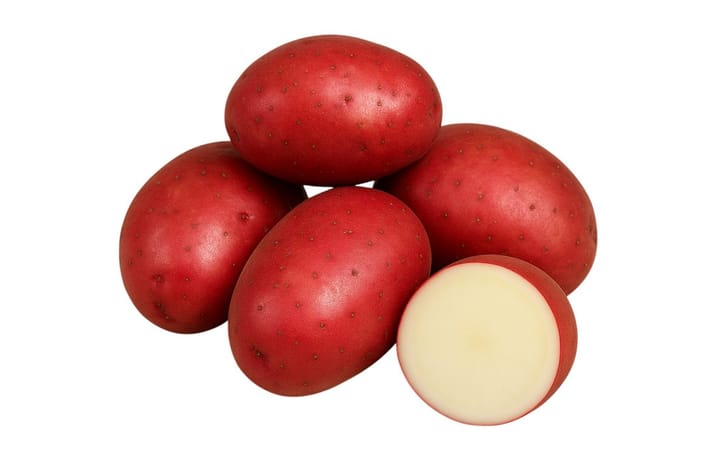 AAC RED VIOLA AAC RED VIOLA