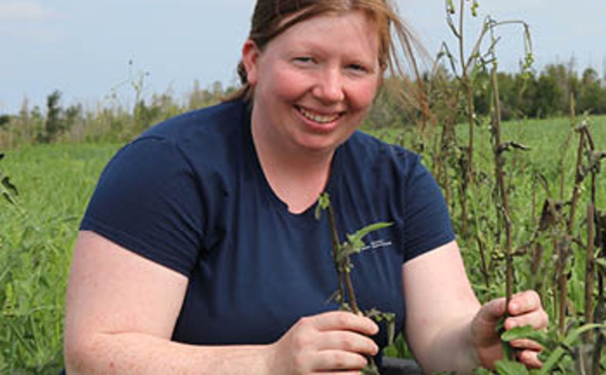 AAFC biologist Nicolle MacDonald is testing how electric weeding can be used to reduce herbicide use in horticulture crops on Prince Edward Island.