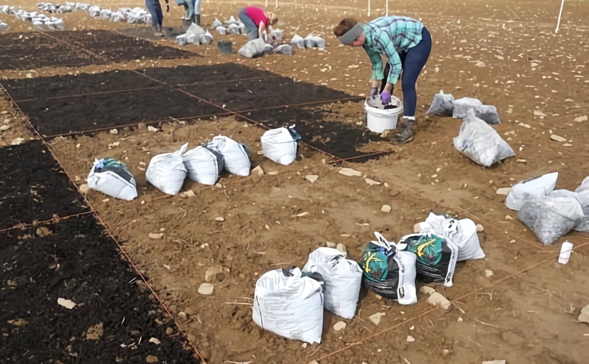 Agriculture and Agri-Food Canada (AAFC) compost study Agriculture and Agri-Food Canada (AAFC) compost study