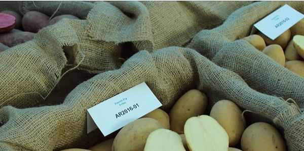 Agriculture and Agri-Food Canada: Our potato varieties have something for everyone