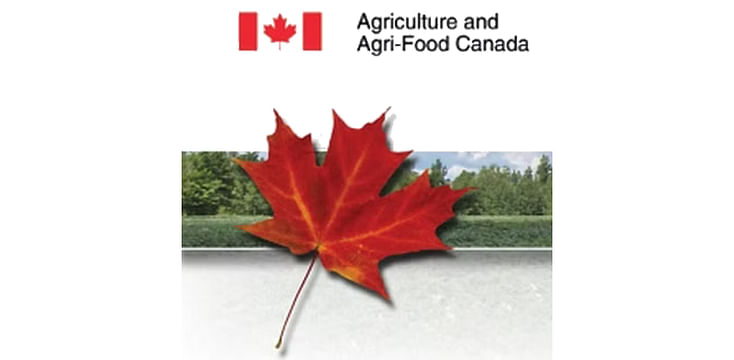Open House AAFC Accelerated Release Program - 2018 Potato Selections for French Fries, Chips and the Fresh Market