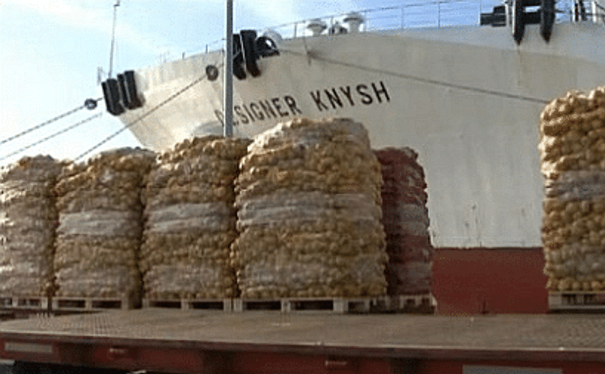 Een Russisch schip in de haven van Oostende vóór de export vanuit Belgie stil kwam te liggen vanwege het aardappelcyste aaltje Een Russisch schip in de haven van Oostende vóór de export vanuit Belgie stil kwam te liggen vanwege het aardappelcyste aaltje