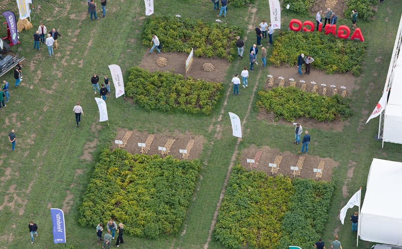 Potato trial plots on display during Aardappeldemodag 2026. Potato trial plots on display during Aardappeldemodag 2026.