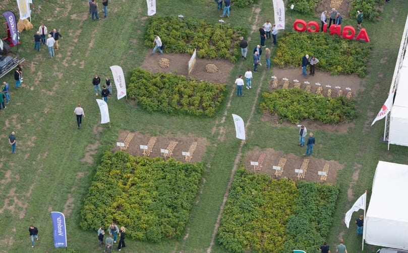 Potato trial plots on display during Aardappeldemodag 2026. Potato trial plots on display during Aardappeldemodag 2026.