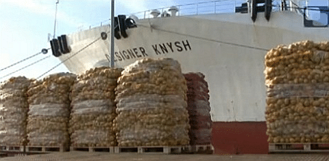  Een Russisch schip in de haven van Oostende vóór de export vanuit Belgie stil kwam te liggen vanwege het aardappelcyste aaltje