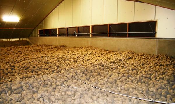 Vrije markt voor aardappelen ingestort door coronavirus