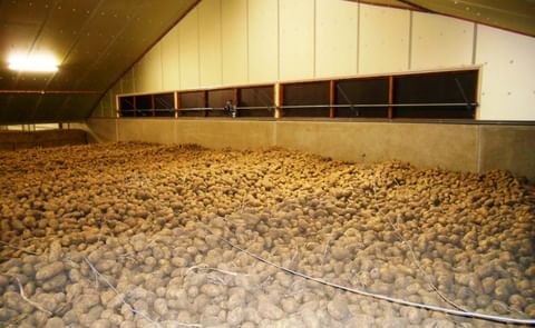 Vrije markt voor aardappelen ingestort door coronavirus Vrije markt voor aardappelen ingestort door coronavirus