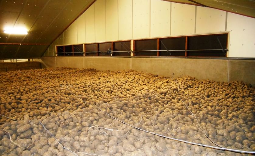 Vrije markt voor aardappelen ingestort door coronavirus
