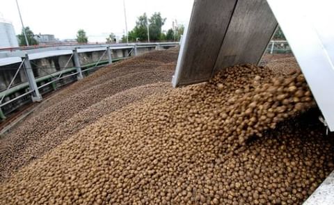 Gemiddelde uitbetalingsprijs AVEBE hoger dan vorig jaar Gemiddelde uitbetalingsprijs AVEBE hoger dan vorig jaar