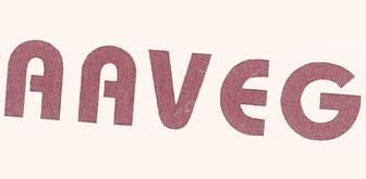 AAVEG Technology Pvt. Ltd.