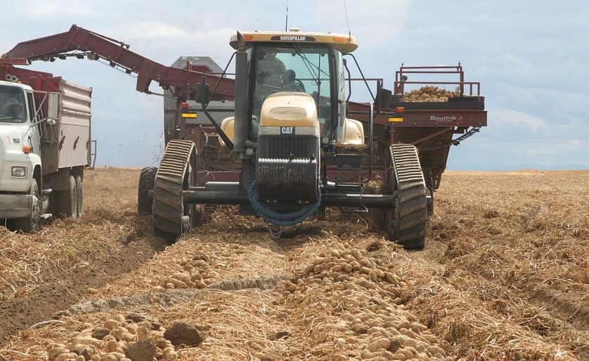 Potatoes are harvested in a field near Aberdeen in this Idaho Farm Bureau Federation file photo. The Idaho potato brand benefits the entire state, not only spud farmers, Idaho Potato Commission CEO Frank Muir told lawmakers recently.