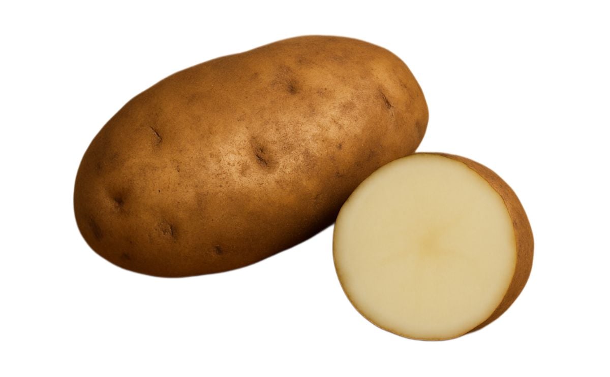 ABILENE RUSSET