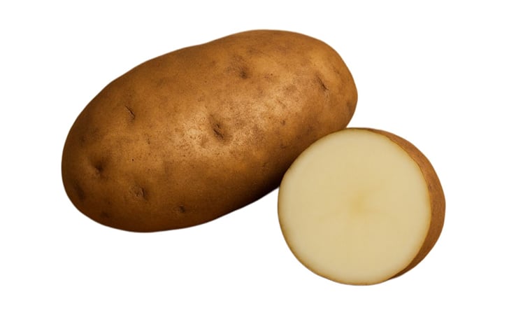 ABILENE RUSSET ABILENE RUSSET