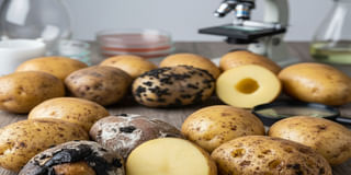 About Defects and Diseases About Defects and Diseases