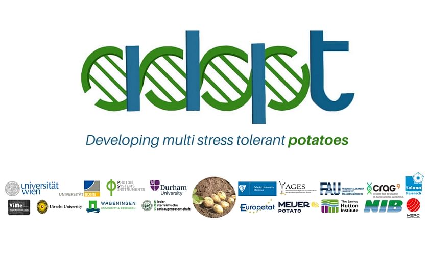 ADAPT project: farmer’s survey’s points out climate change as the biggest threat to potato production in Europe