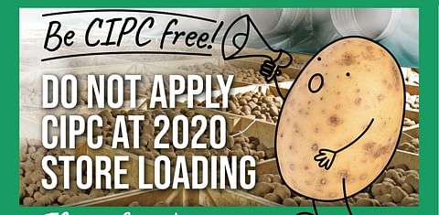 AHDB warns UK potato growers not to use CIPC at 2020 store loading