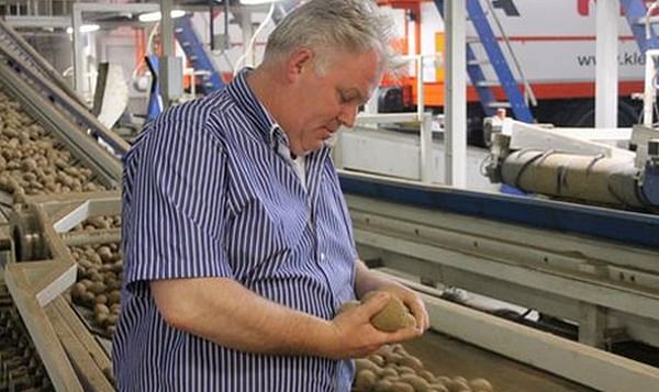 Grandes preocupaciones en el sector de la patata holandesa