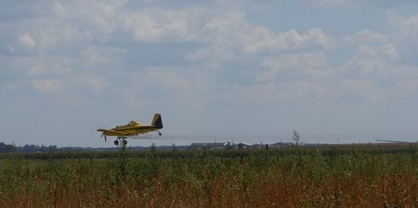 Live aerial pesticide application at Jim Coombs Farms