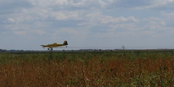 Live aerial pesticide application at Jim Coombs Farms