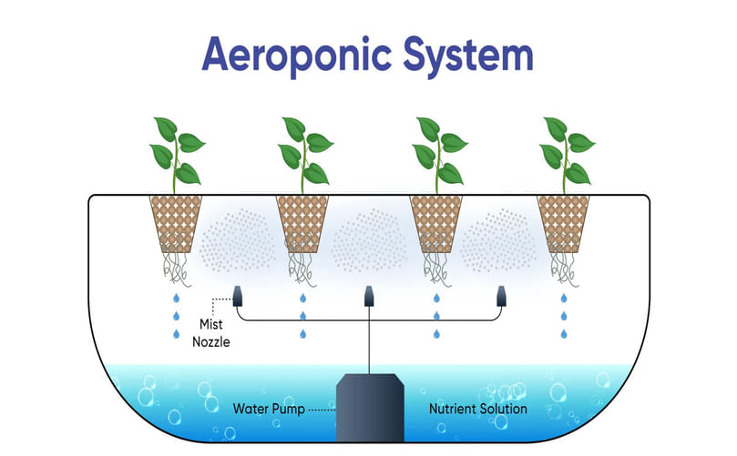 Illustrated aeroponic system with nutrient mist nozzles