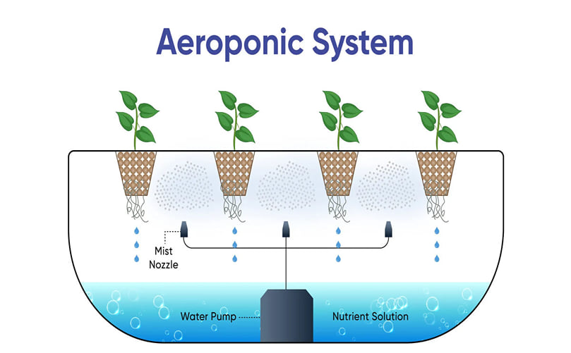 Illustrated aeroponic system with nutrient mist nozzles Illustrated aeroponic system with nutrient mist nozzles