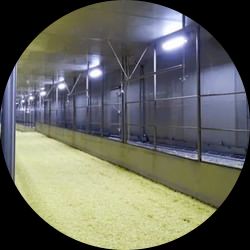 IQF Tunnel Freezers
