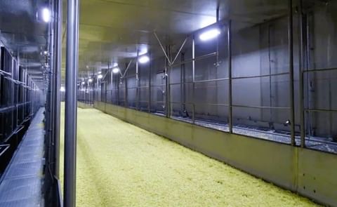 Advanced Food Equipment LLC - IQF Tunnel Freezers Advanced Food Equipment LLC - IQF Tunnel Freezers