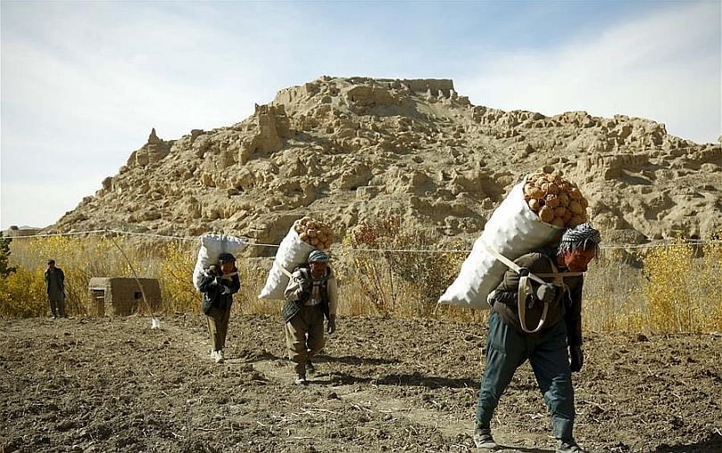 Afghan farmers carry sacks of potatoes in Bamyan province, central Afghanistan, Oct. 23, 2018. (Xinhua/Noor Azizi) (Courtesy: Xinhua/Noor Azizi) Afghan farmers carry sacks of potatoes in Bamyan province, central Afghanistan, Oct. 23, 2018. (Xinhua/Noor Azizi) (Courtesy: Xinhua/Noor Azizi)