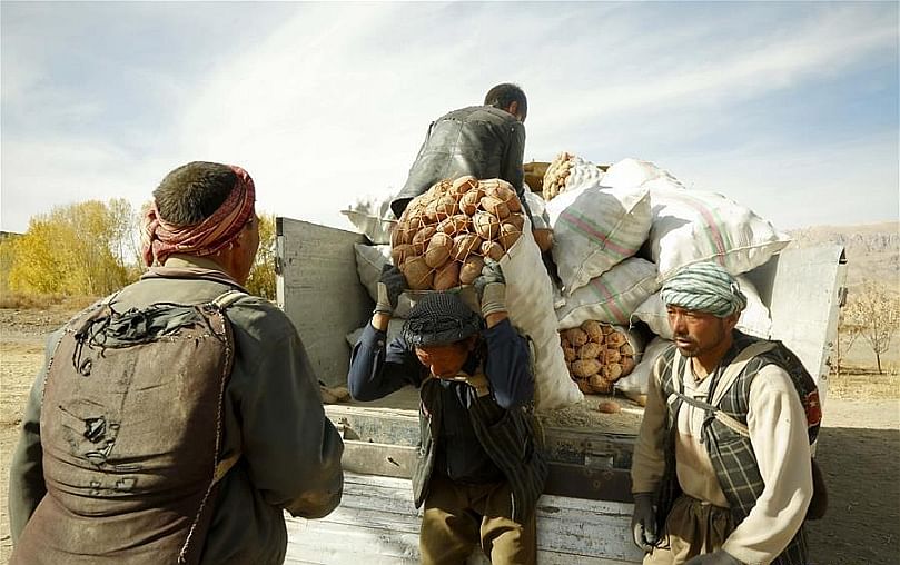 Afghan farmers unload sacks of potatoes to a warehouse in Bamyan province, central Afghanistan, Oct. 23, 2018. (Courtesy: Xinhua/Noor Azizi)