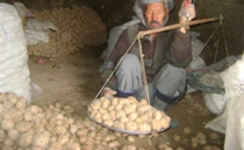 Uphill struggle for potato farmers in Afghanistan's Bamyan Province Uphill struggle for potato farmers in Afghanistan's Bamyan Province