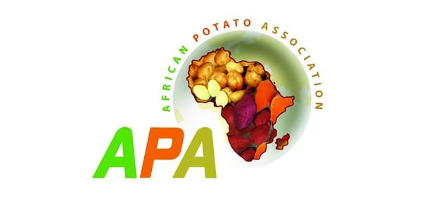 African Potato Association (APA)