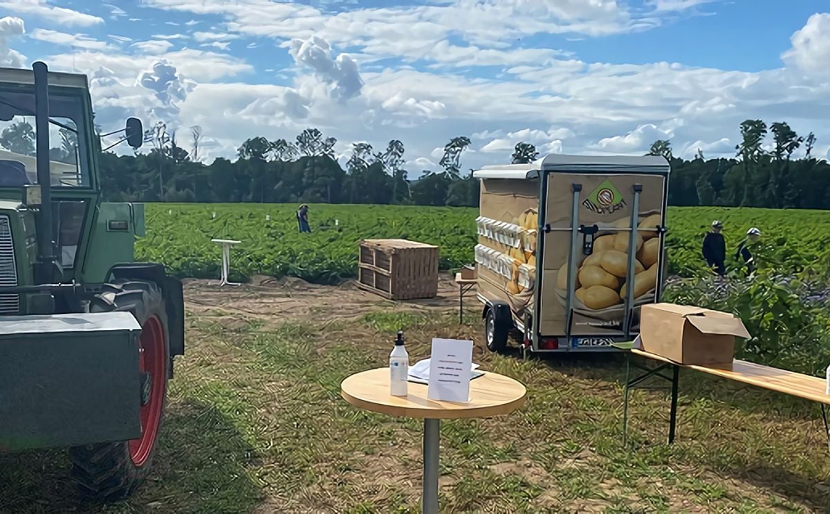 After one and a half years without potato events, it was time to meet up again After one and a half years without potato events, it was time to meet up again