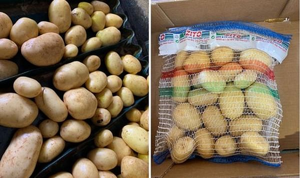 Puede que se adelante la importación de patatas francesas en Italia