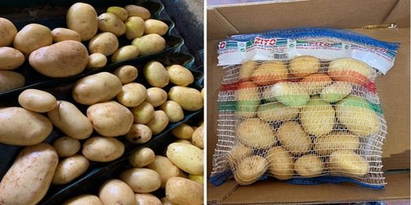 Puede que se adelante la importación de patatas francesas en Italia