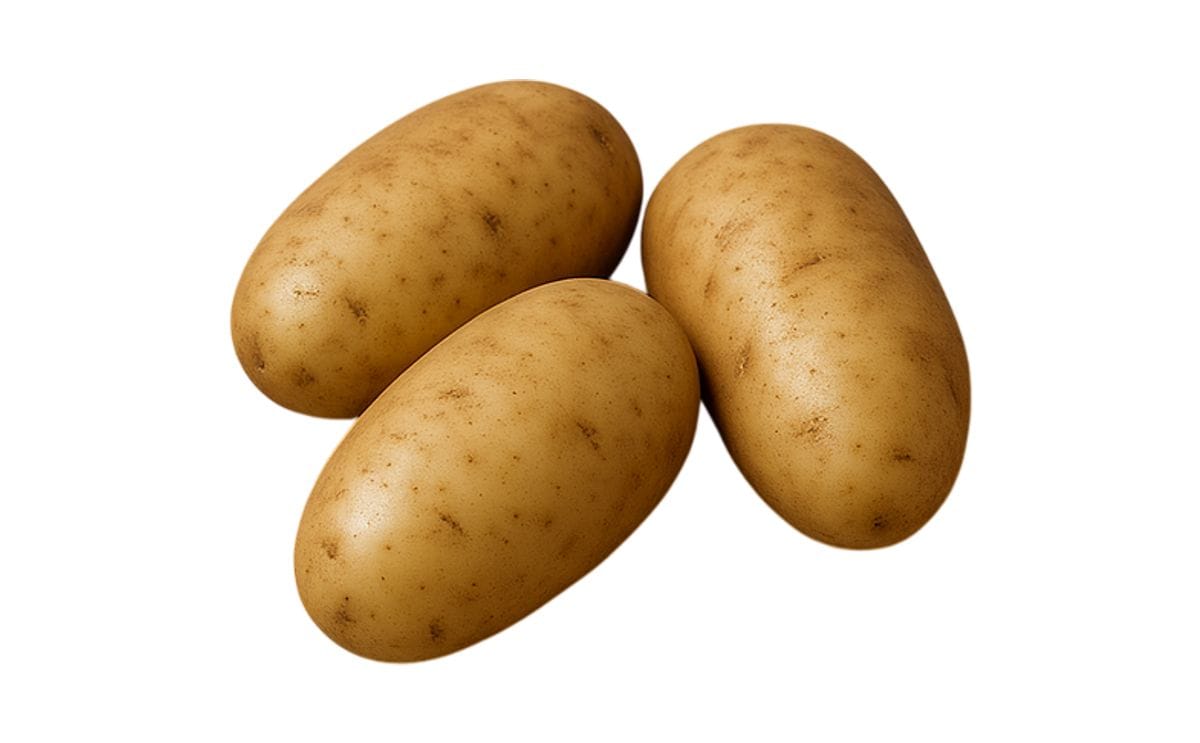 ATTX10007-1Ru (AGENT RUSSET)