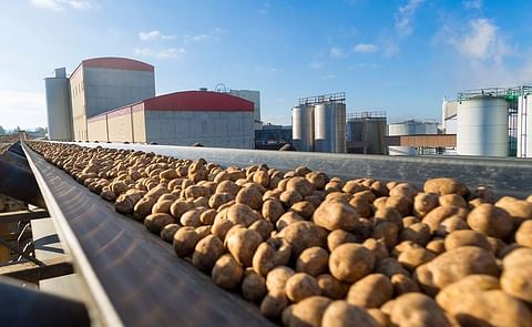 Longest ever starch potato processing campaign: AGRANA processed a record quantity of 322,000 metric tons of starch potatoes in 189 days (Courtesy: APA PictureDesk/AGRANA/Schedl) Longest ever starch potato processing campaign: AGRANA processed a record quantity of 322,000 metric tons of starch potatoes in 189 days (Courtesy: APA PictureDesk/AGRANA/Schedl)