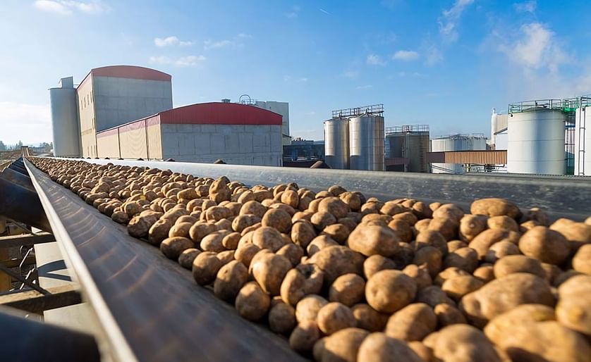 Longest ever starch potato processing campaign: AGRANA processed a record quantity of 322,000 metric tons of starch potatoes in 189 days (Courtesy: APA PictureDesk/AGRANA/Schedl)
