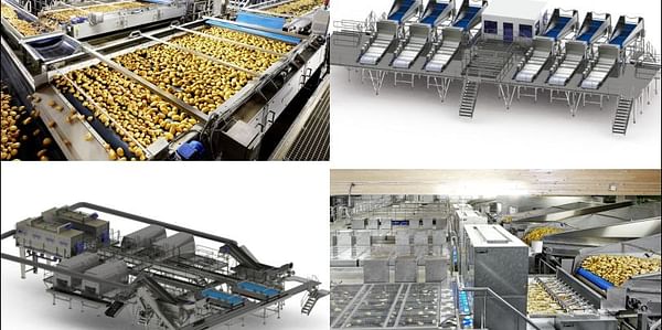 Potato washing and grading plant designed and built by Gillenkirch GmbH for Agrar Kontor GmbH