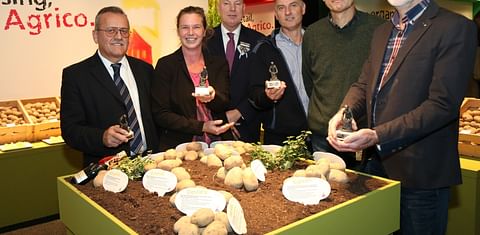 Agrico presents four new potato varieties during annual variety presentation